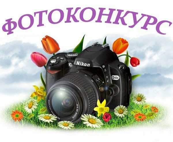 Областной конкурс фоторабот «Мир глазами ветерана»