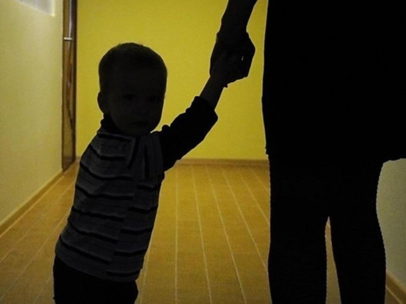 Устройство детей, оставшихся без попечения родителей
