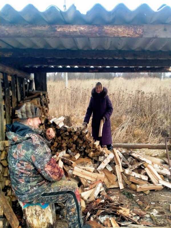 Заготовка дров