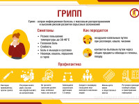 Профилактика гриппа и ОРВИ